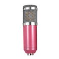 thumbnail image 1 of Professional Studio-Quality Condenser Microphone with Low Self-Noise & High Sensitivity - 20Hz-20kHz Frequency Response, 16dBA Equivalent Noise, Foam Windshield for Vocals - Ideal for Broadcasting,, 1 of 6