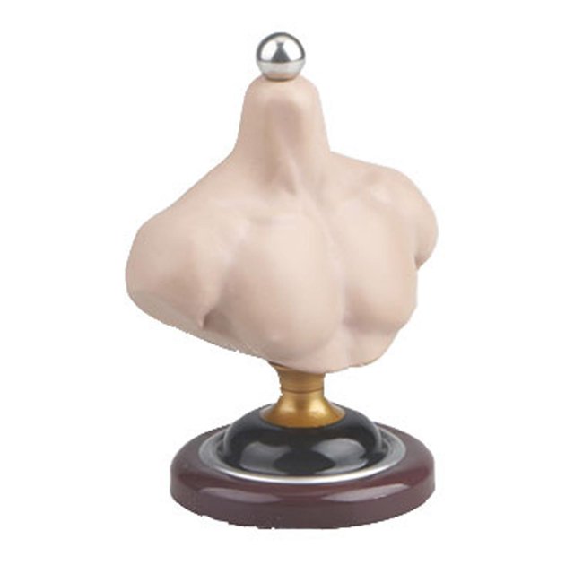 Baohd Buste Élégant et Pratique pour Homme et Femme, Support en PVC pour Perruques, 1 Ensemble