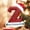 Z#26, variant on mtvxesu 26-Piece Acrylic Alphabet Christmas Tree Ornaments with Diy Back for Personalized Holiday Decorations