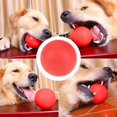 thumbnail image 3 of Pet Ball Toy,Solid Rubber Ball Interactive Dog Ball Toy Pet Training Ball Ultra Responsive, 3 of 6