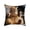 B, variant on Fasiaou Cat Pattern Throw Pillow Covers Decorative Outdoor Soft Pillowcases Home Decor Living Room Cushion Case for Bed Couch Car 18x18 Inch,B