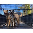 thumbnail image 4 of Lucky Dog Whisper Glide 48 Inch Sliding Double Door Dog Crate, 4 of 8