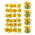thumbnail image 1 of MasteelfCA 1 Box of Simulated Static Grass Tufts Model Fake Grass Cluster Irregular Grass Cluster DIY Sand Table Ornament, 1 of 8