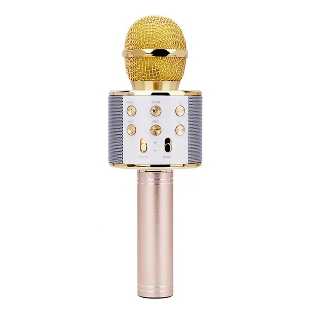 Microphone Sans Fil Polyvalent Portable Microphone de Karaoké Haut-Parleur Microphone