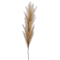thumbnail image 1 of Bouclair Beige Faux Stem, 1 of 2