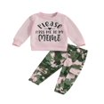 thumbnail image 1 of Baby Boys 2PCS Pants Sets Long Sleeve Round Neck Sweatshirt Tops Solid Color Pants Sets, 1 of 7