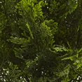 thumbnail image 5 of Nearly Natural 6880 2` Cedar Artificial Bush (Indoor/Outdoor), 5 of 5