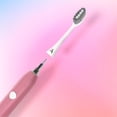 thumbnail image 2 of ARC Têtes de Brosse, Blanches, 2 of 8