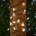 thumbnail image 2 of Novelty Lights 70 Light C6 LED Christmas Mini Light Set, Commercial Grade Outdoor String Lights, Pure White, Green Wire, 24 Feet, 2 of 7