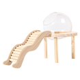 thumbnail image 4 of Milaget Glass Hamster House with Wooden Ladder for Chipmunk Guinea Pig Small Animals S, 4 of 9