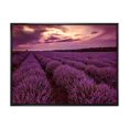 thumbnail image 1 of Designart Sunrise & Dramatic Clouds Over Lavender Field III FLOAT FRAME WALL ART, 1 of 4