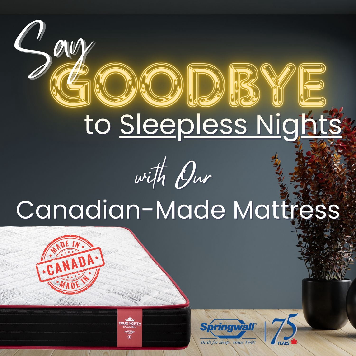 Luxury Evy Euro Top Firm Springwall - Canadian Locally Made - 14.5" Extra Large Height - Pocket Coil & Bio Comfort Luxury Foam
