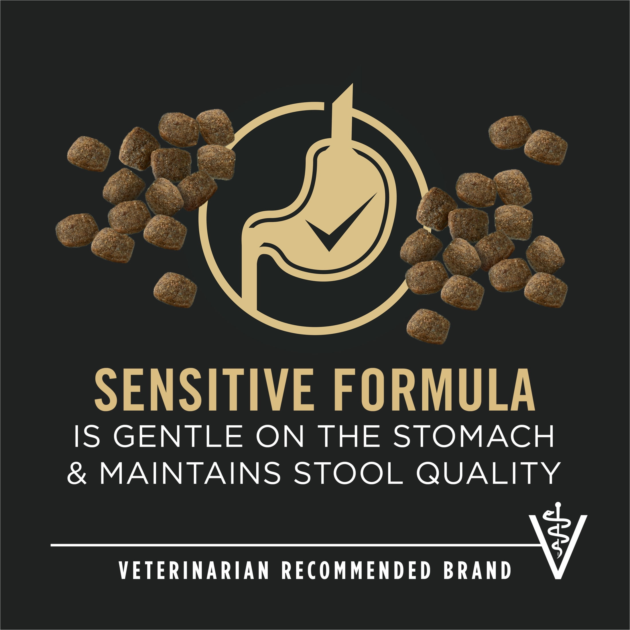 Purina Pro Plan Sénior Peau et Estomac Sensibles Adulte 7+ Saumon, Nourriture Sèche pour Chiens