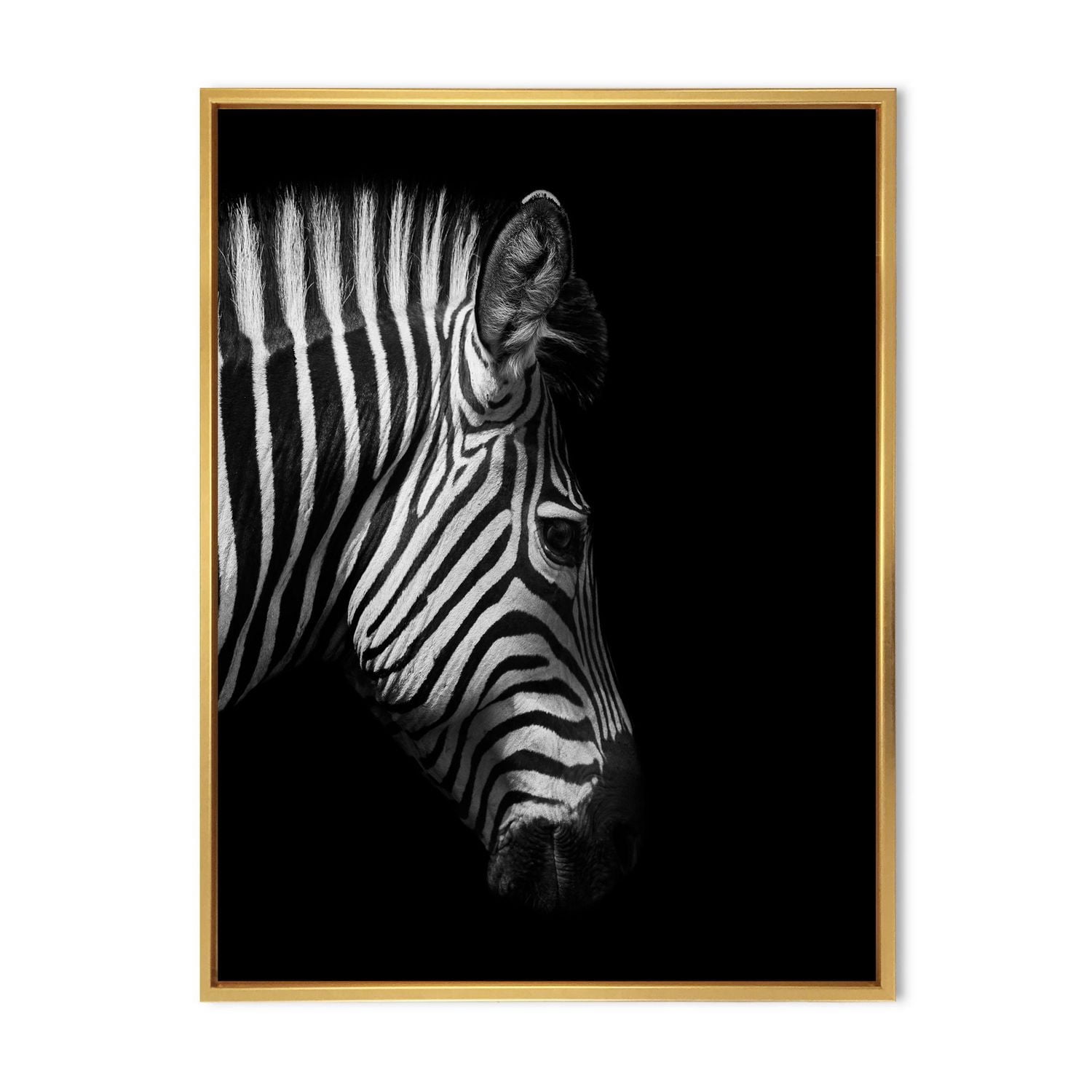 Designart Portrait monochrome de tête de zèbre ART MURAL À CADRE FLOTTÉ