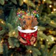 thumbnail image 1 of RKSTN Fall Decorations for Home Funny Christmas Tree Decorations, Suitable For Dogs - Gifts For Dog Lovers - Christmas Decorations - Lovely Stockings Dog Christmas Tree Decorations, 1 of 2