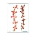thumbnail image 1 of CAROOTU Halloween Stickers Waterproof Simulation Scratches Scars Bite Marks Simulation Fake Wound Tattoo, 1 of 6