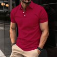 thumbnail image 2 of Pisexur T Shirts for Man , Hommes Décontracté Mode Manches Courtes Uni Chandail Col Rabattu Blouse Débardeur Sport Vin, 3TG Chemises de Golf Hommes et Chemises Hommes, 2 of 7