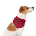 thumbnail image 1 of One Paw, Holiday Bandana, Dog Accessory, Festive Fashion Wear, Red, 1 of 6