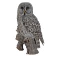 thumbnail image 4 of Hi-Line Gift Ltd Statue de Hibou sur Souche, Gris, 4 of 4