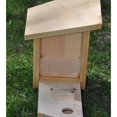thumbnail image 2 of Urban Nature Store Handmade 2 Chamber Bat House, 2 of 2