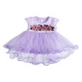 thumbnail image 1 of Baby Girls TuTu Short Sleeve Mesh Multi-Layer Dress 6M-3Y, 1 of 6