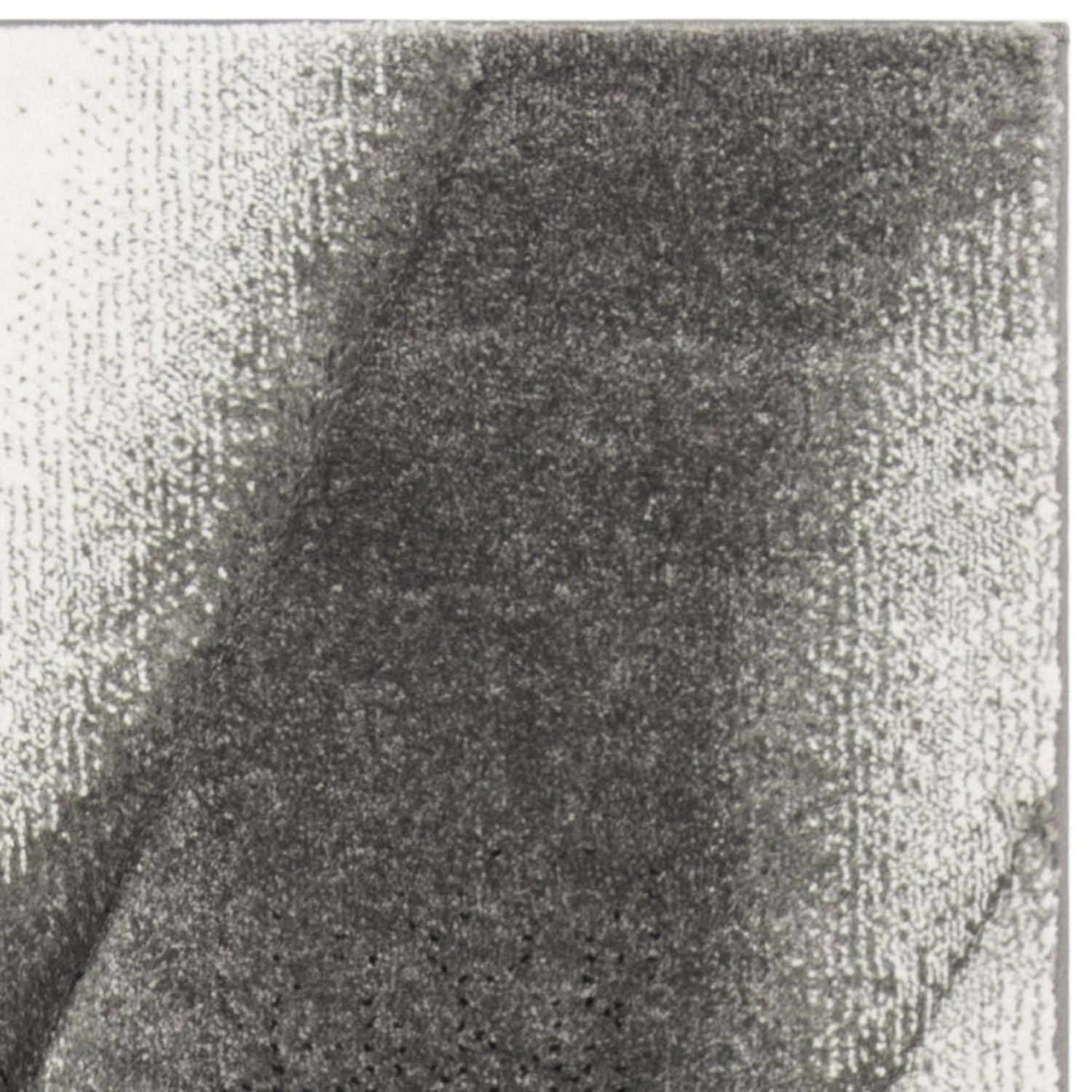 Safavieh Hollywood Salome Tapis Abstrait