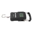thumbnail image 3 of Portable Electronic Scale USB Charging Fishing Scale 165lb Load Bearing Digital Hanging Fish Scale for Luggage, 3 of 12