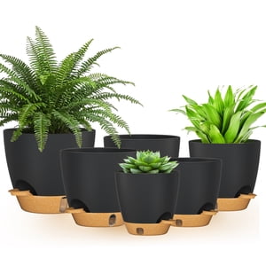 FIASON 6 Pack Plastic 5/5.5/6/6.5/7/8 Inch Black with Brown Self Watering Plant Pots,Include Watering Lip,Drainage Holes and Removable Saucer,Flower Planter Containers for Indoor Outdoor Garden House