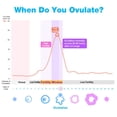 thumbnail image 4 of Easy@Home Ovulation Test Strips, 25 Pack Fertility Predictor Kit, Powered by Premom iOS and Android App, 25 LH Strips, 4 of 8