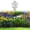 Black, variant on Cameland Garden Fence Stackable Climbing Plant Support Plastic Garden Fence Picket Fence Edgings For Lawns Flowerbeds Plant Borders Decorative Yard