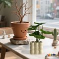 thumbnail image 4 of Simulation Plants Small Potted Bonsai Six Head Monstera Leaf For Office Living Room Desktop Indoor Decoration Plastic Material Set With Square Pot A-993 B, 4 of 9
