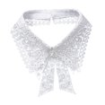 thumbnail image 1 of GUOOL Faux Collier Ras-du-Cou Décoratif Col à Revers Détachable Dentelle Faux Faux Collier A, 1 of 9
