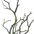 thumbnail image 3 of 3pcs Large Wedding Decoration Branch Simulation Plastic Branch Artificial Dried Tree Branches Artificial Foliage Plant coffee, 3 of 9