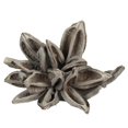 thumbnail image 1 of Vickerman H2STA900 Capsule Étoile Blanchie Blanche de 6 à 11 Po, 1 of 1