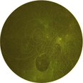 thumbnail image 1 of Ahgly Tapis Rond Lavable en Machine Intérieur Transitionnel Marron Chocolat, 4 Pieds Rond, 1 of 7
