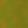 thumbnail image 1 of Ahgly Company Tapis d'Intérieur Lavable à la Machine, Carré, Transitionnel, Vert Olive, Tapis de Zone, 5 Pieds Carré, 1 of 7