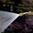 thumbnail image 3 of Extension Lance Adjustable Sprayer Nozzle Stainless Steel Color Pole Pump Pressure Sprayer Adjustable Applicable, 3 of 10