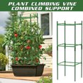 thumbnail image 3 of Plant Support Cages Plant Stakes Vegetable Trellis Sturdy Plant Trellis Provides Support for Climbing Plant New, 3 of 7
