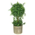 thumbnail image 1 of Arbre Topiaire Artificiel de 18 Po, 1 of 1