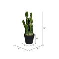 thumbnail image 3 of Vickerman FO190114 14 in. Green Potted Cactus Plastic Planter Pot, 3 of 3