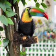 thumbnail image 3 of Toucan Model Home Garden Decoration Bookcase Patio Hanging Kids 1, 3 of 8