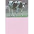 thumbnail image 2 of Greeting Card Valentine's Day Humor"Got Love?" Happy Valentine's Day, 2 of 2