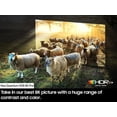 thumbnail image 4 of Samsung Téléviseur Intelligent Neo QLED 8K Mini LED de 75 Po, Neo Quantum HDR avec Dolby Atmos, Object Tracking Sound Pro, AI Motion Enhancer Pro, Alexa Intégré (QN75QN900DFXZA) - 2024 - Boîte Ouverte, 4 of 10