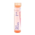 thumbnail image 3 of Boiron Sepia Officinalis 15CH – Homeopathic Medicine, (4g Tube), 3 of 6