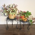 thumbnail image 3 of Ensemble de Deux Tabourets Ronds pour Plantes, 3 of 3