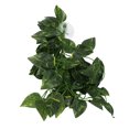 thumbnail image 1 of Simulation Rattan Landscaping, Neatly Cut Edges No Burrs Variety Of Models Hanging Plant False Vine  For Aquariums For Daily For Reptile Boxes For Fish Tanks NFF-81 Conch Leaf, 1 of 8