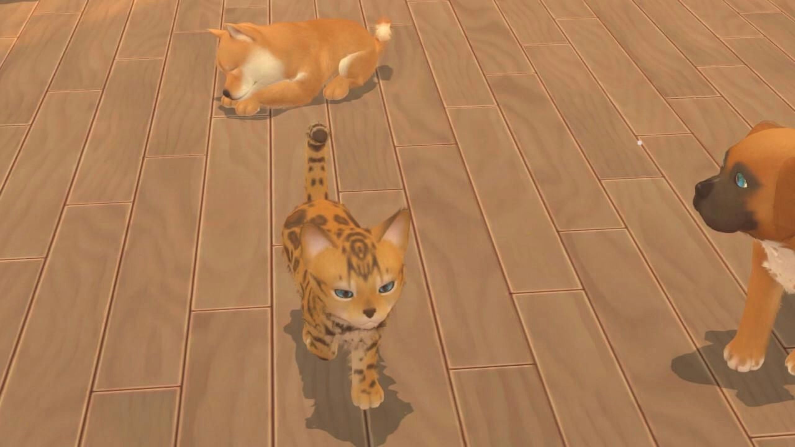 Jeu vidéo My Universe: Puppies and Kittens pour (PS4)
