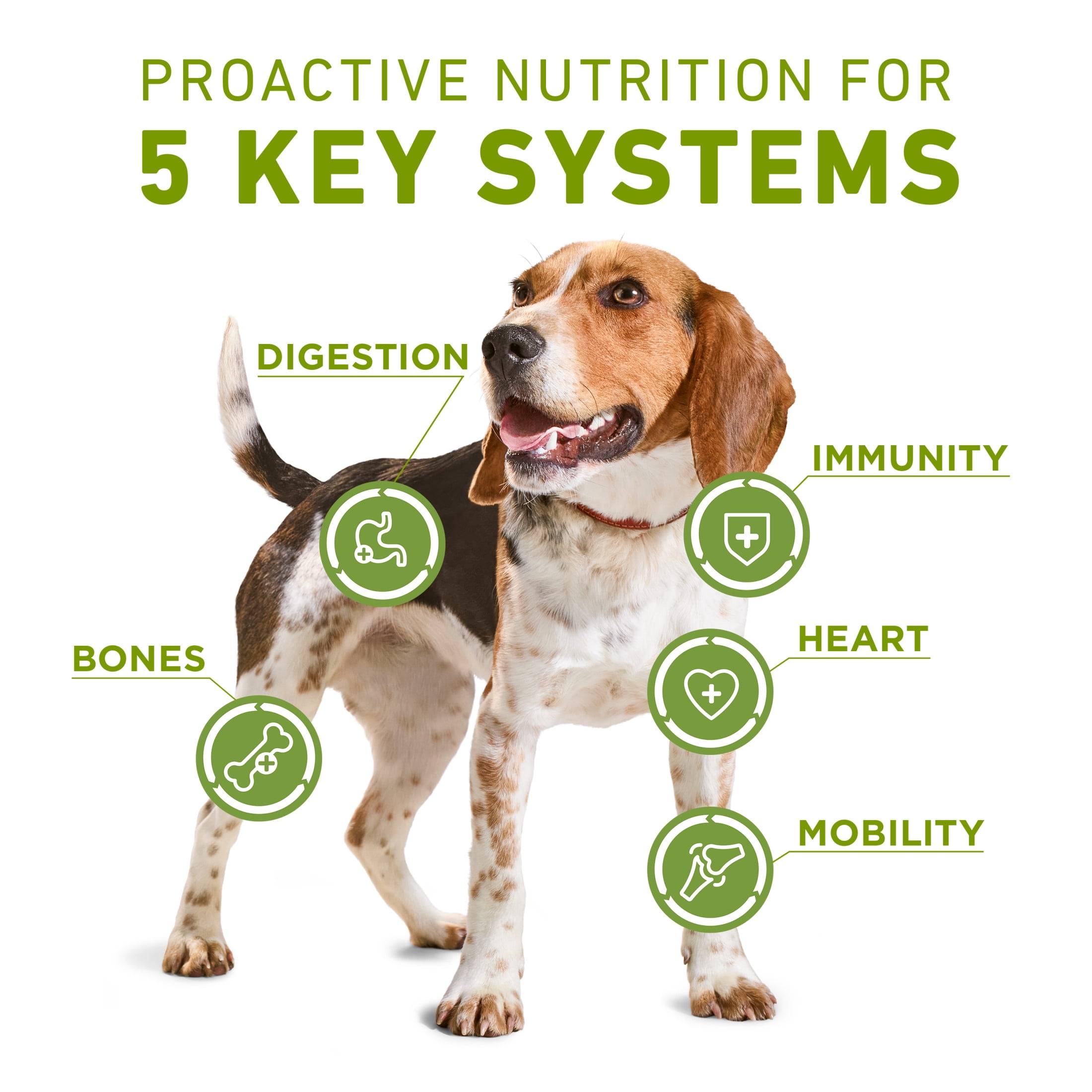 Purina ONE +Plus Soutien de Tout le Corps avec du Vrai Poulet, Nourriture Sèche pour Chiens 9.5 kg