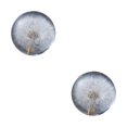 thumbnail image 3 of Baohd Exquisite Flower Crystal Ball Adding Elegance To Space Easily Portable Dandelions 6cm 2Set, 3 of 6