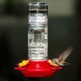 thumbnail image 3 of Perky-Pet Window Mounted 14-Ounce Glass Hummingbird Feeder, 3 of 9